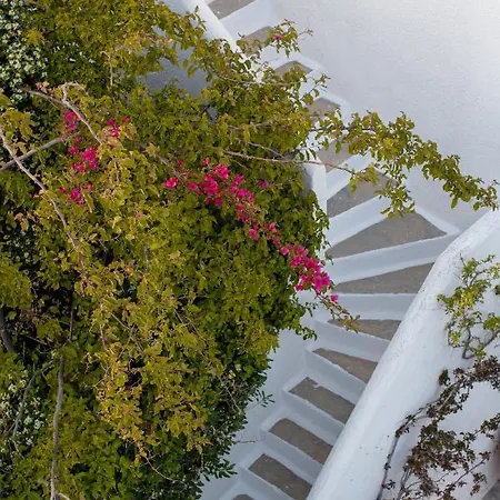 Andromeda Apartahotel Mykonos Town