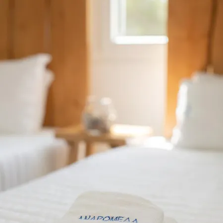 Apart-hotel Andromeda