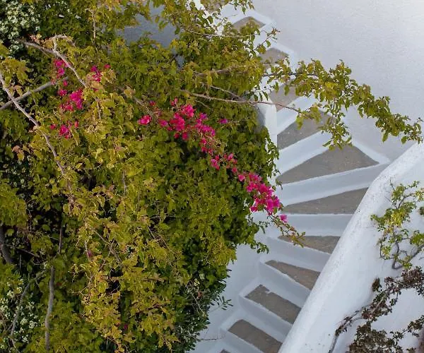 أندروميدا ريزيدنس شقة فندقية Mykonos Town