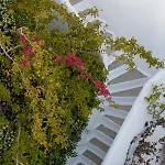 Andromeda Hotel apartamentowy Mykonos Town