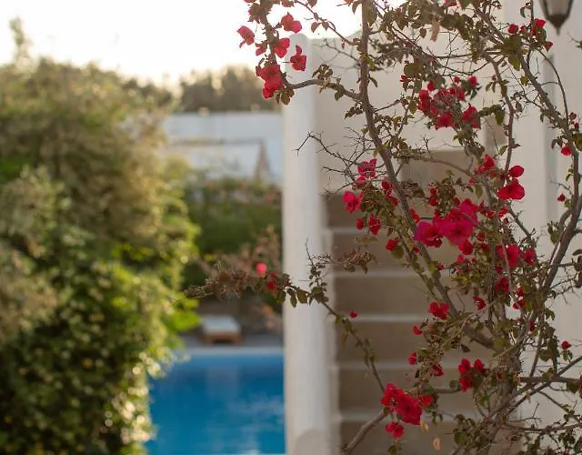 Aparthotel Andromeda 4*